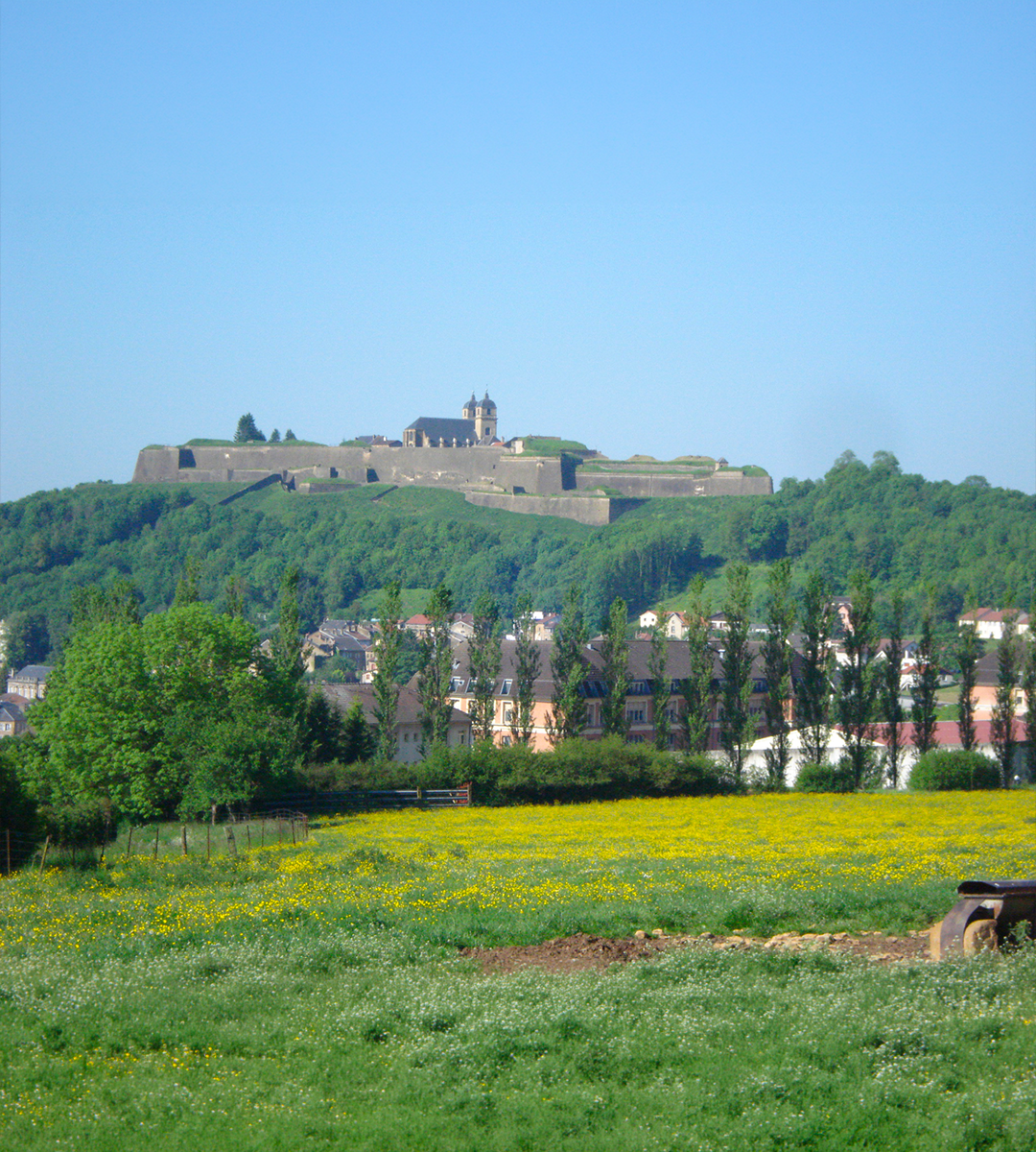Tranchée de Chattancourt